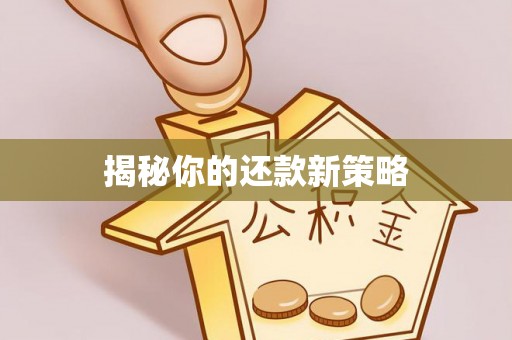 红寺堡揭秘你的还款新策略