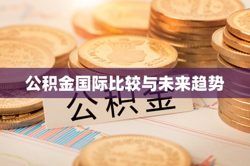 华蓥公积金国际比较与未来趋势