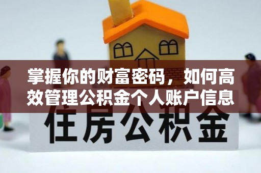 林边掌握你的财富密码，如何高效管理公积金个人账户信息