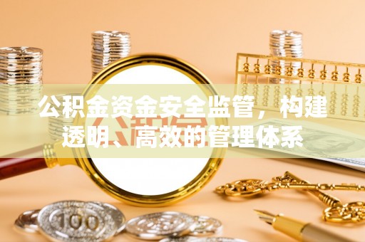 前进公积金资金安全监管，构建透明、高效的管理体系