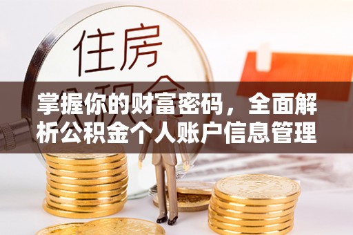 石排掌握你的财富密码，全面解析公积金个人账户信息管理