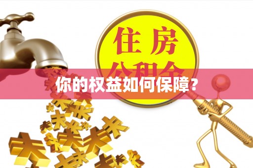 天山你的权益如何保障？